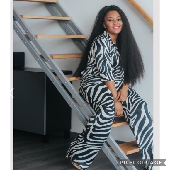 NWT H&M Blogger Fave Zebra Print Satin Shirt/Pants - Picture 2 of 12